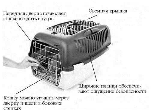 Как воспитать вашу кошку Как воспитать вашу кошку