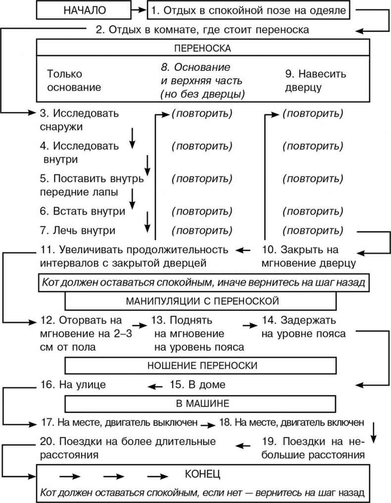 Как воспитать вашу кошку Как воспитать вашу кошку