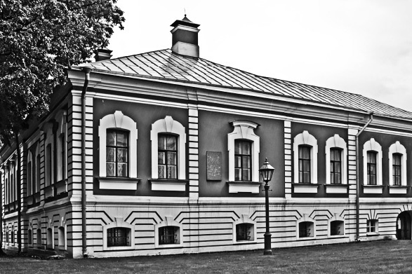 Цареубийца. Подлинные мемуары графа Орлова Цареубийца. Подлинные мемуары графа Орлова
