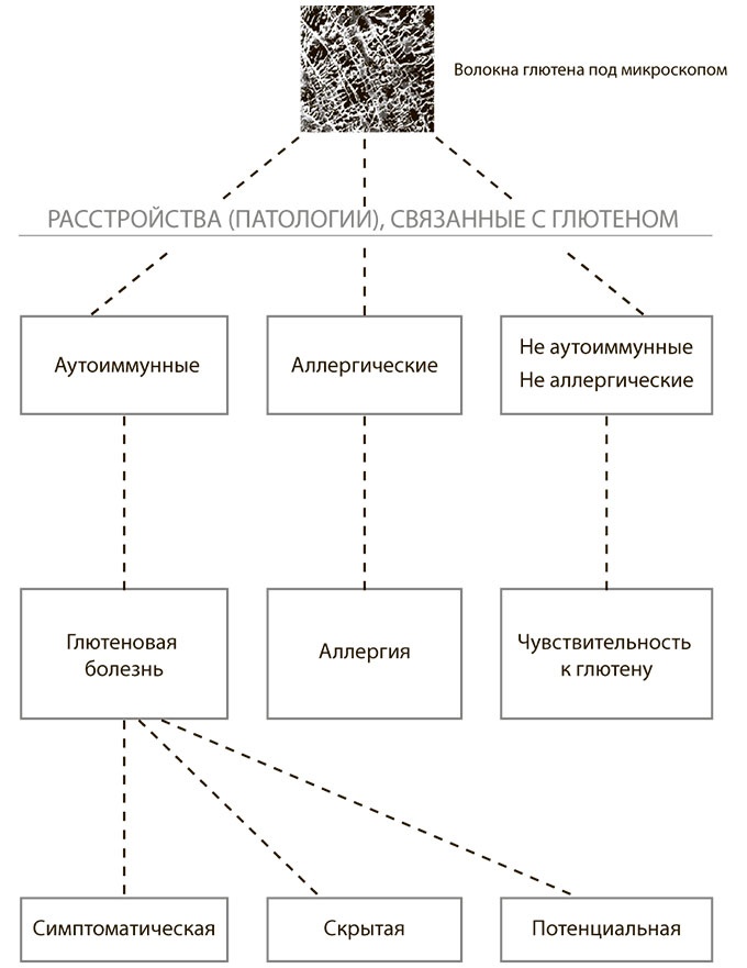 Программа восстановления иммунной системы. Практический курс лечения аутоиммунных заболеваний в четыре этапа Программа восстановления иммунной системы. Практический курс лечения аутоиммунных заболеваний в четыре этапа