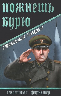 Пожнешь бурю - Станислав Гагарин