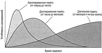 Когнитивная психология Когнитивная психология