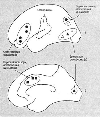 Когнитивная психология Когнитивная психология