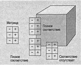 Когнитивная психология Когнитивная психология