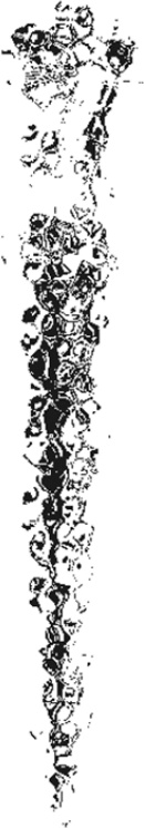 Пекло Пекло
