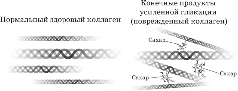 Как обмануть возраст Как обмануть возраст