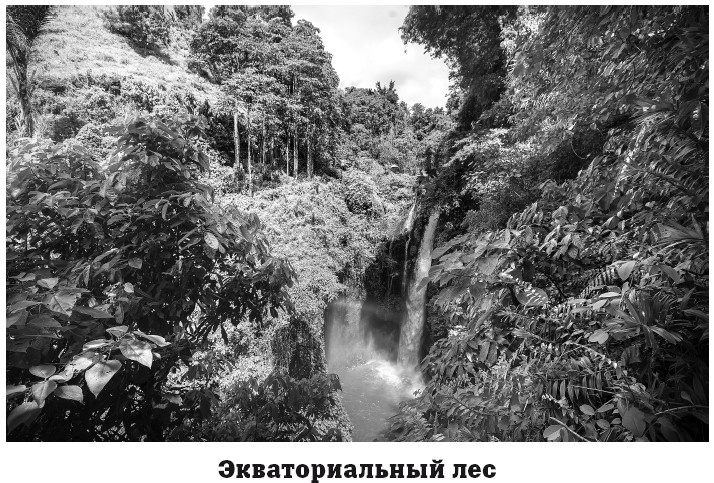 География на пальцах География на пальцах
