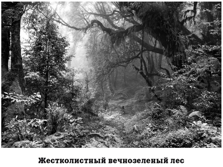 География на пальцах География на пальцах