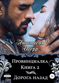 Провинциалка 2. Дорога назад  - Анастасия Шерр